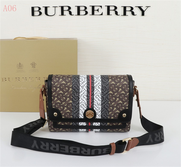 Burberry Bags AAA 019
